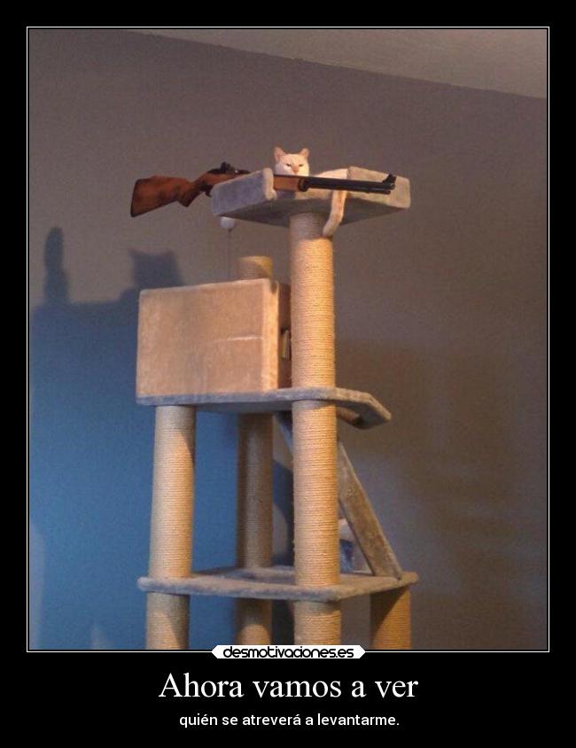 Ahora vamos a ver - quién se atreverá a levantarme.