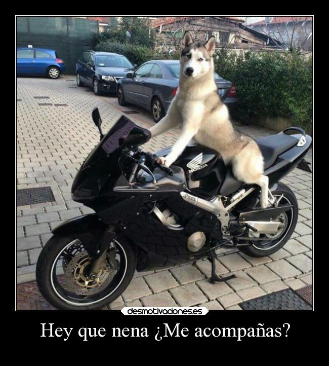 Hey que nena ¿Me acompañas? -