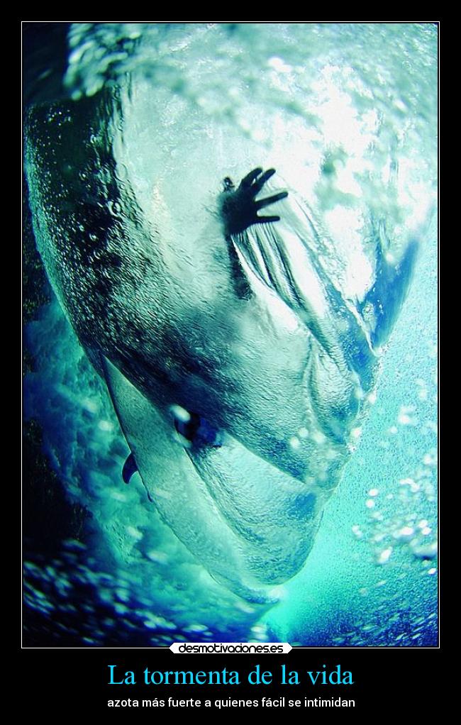 carteles vida vida mar tormentas desmotivaciones