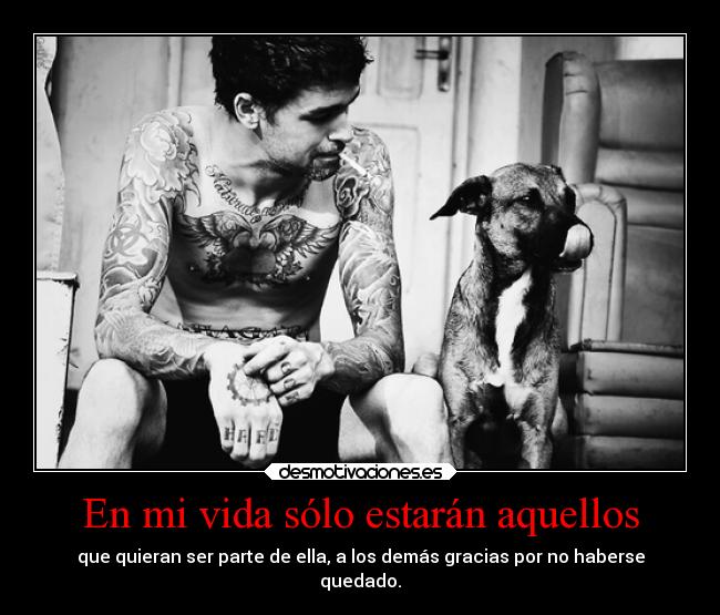 carteles vida obstaculos amistad sandy78cris frasedeporahi cansadadecansarme atomarporculotodo desmotivaciones