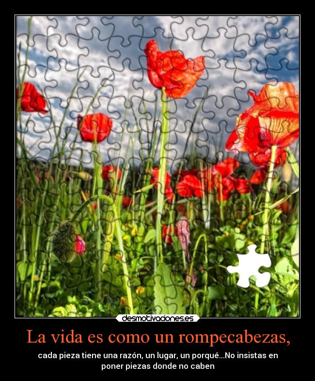 La vida es como un rompecabezas, -