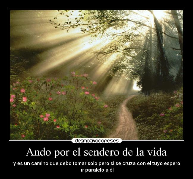 Ando por el sendero de la vida - 