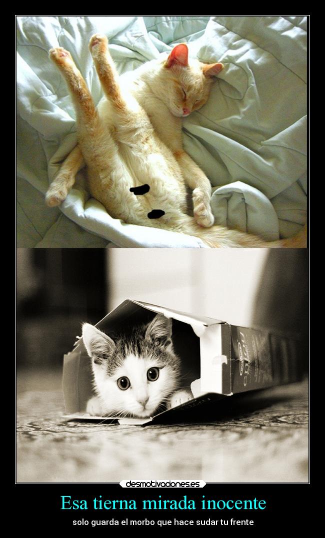 Esa tierna mirada inocente -