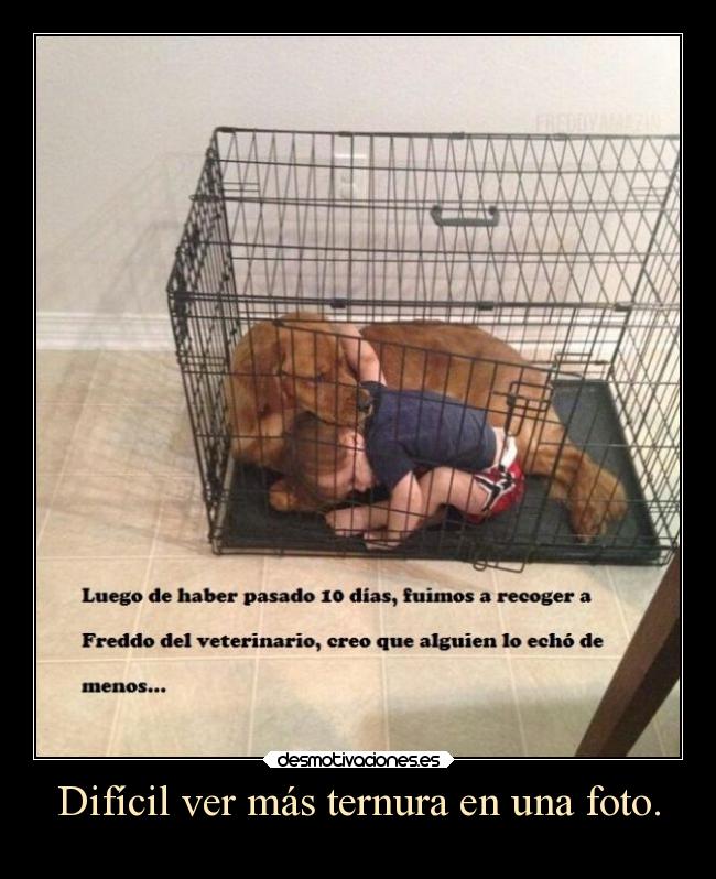 Difícil ver más ternura en una foto. -