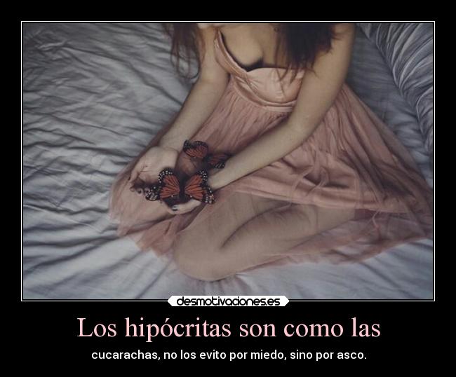 Los hipócritas son como las - cucarachas, no los evito por miedo, sino por asco.