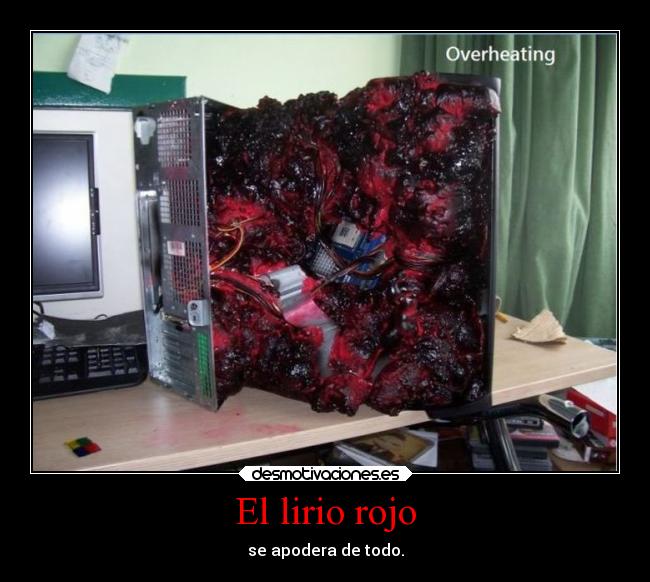 El lirio rojo - se apodera de todo.