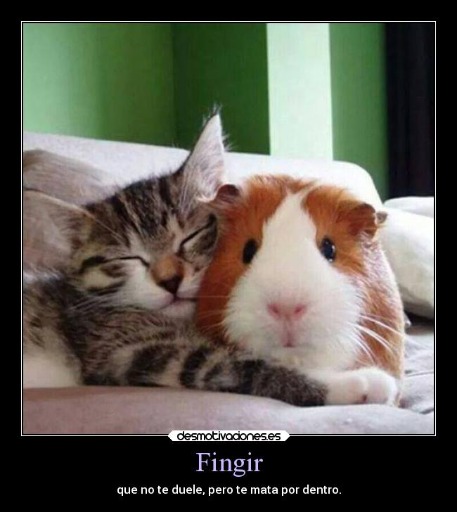 Fingir -