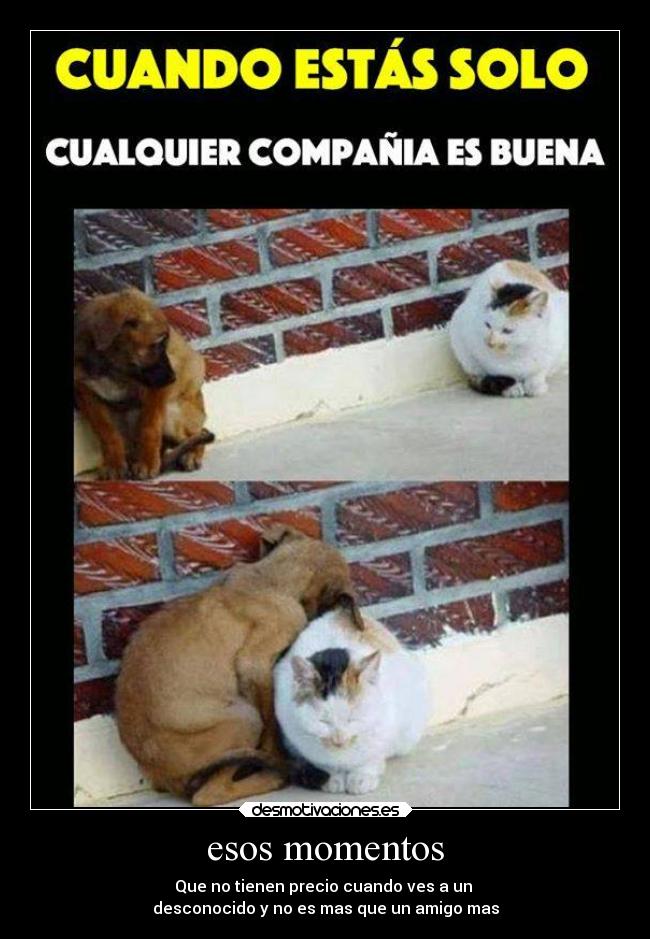 esos momentos - Que no tienen precio cuando ves a un
desconocido y no es mas que un amigo mas