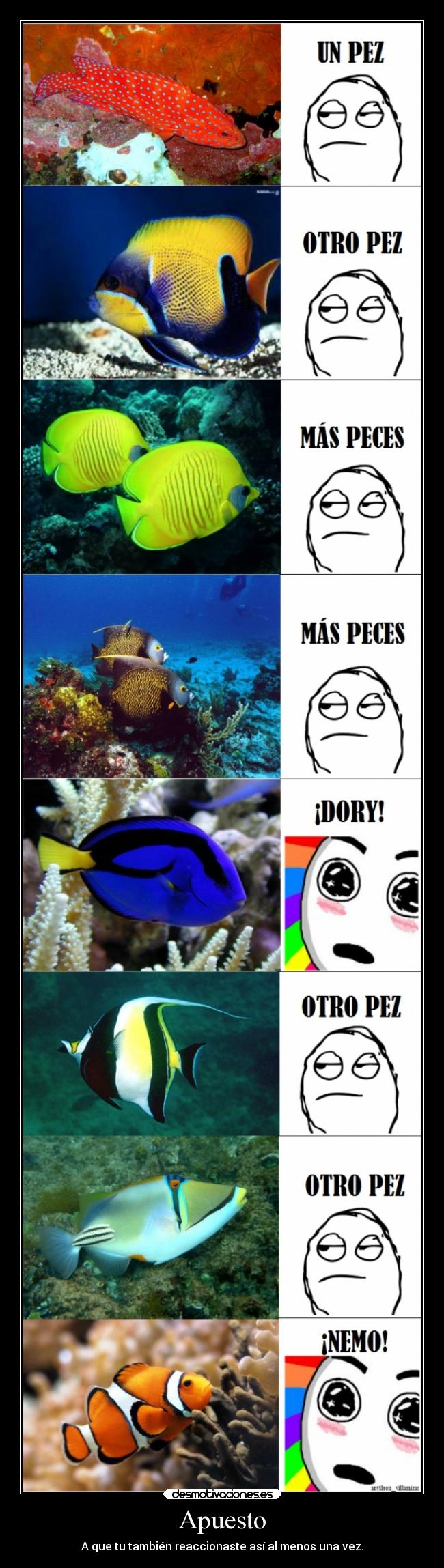carteles alegria memes humor cine infancia laurasimpson11 nemo dori disney peces desmotivaciones