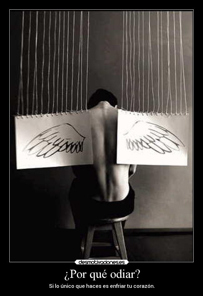 ¿Por qué odiar? - 