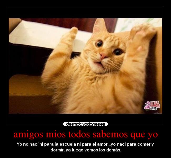 amigos mios todos sabemos que yo - Yo no nací ni para la escuela ni para el amor...yo nací para comer y
dormir, ya luego vemos los demás.
