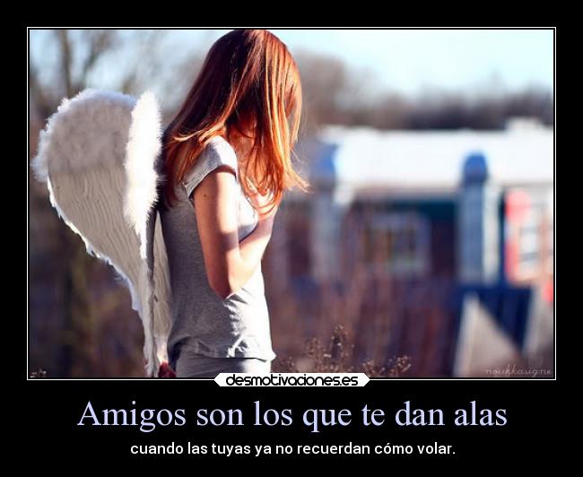 Amigos son los que te dan alas - 