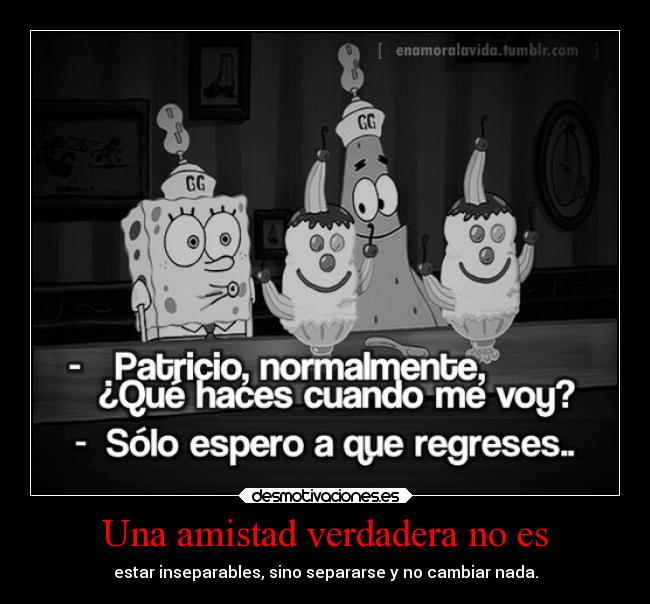 Una amistad verdadera no es - 