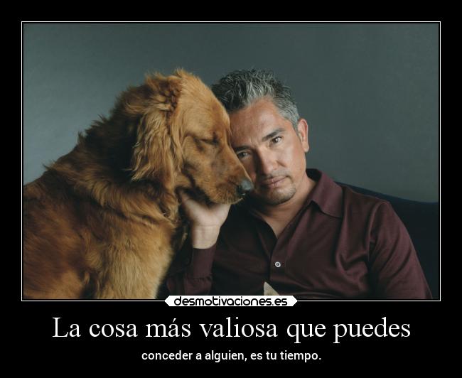 carteles amistad cosa mas valiosa que puede conceder alguien tiempo cesar millan encantador perros desmotivaciones