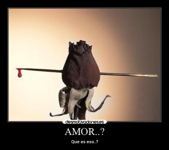 AMOR..? -