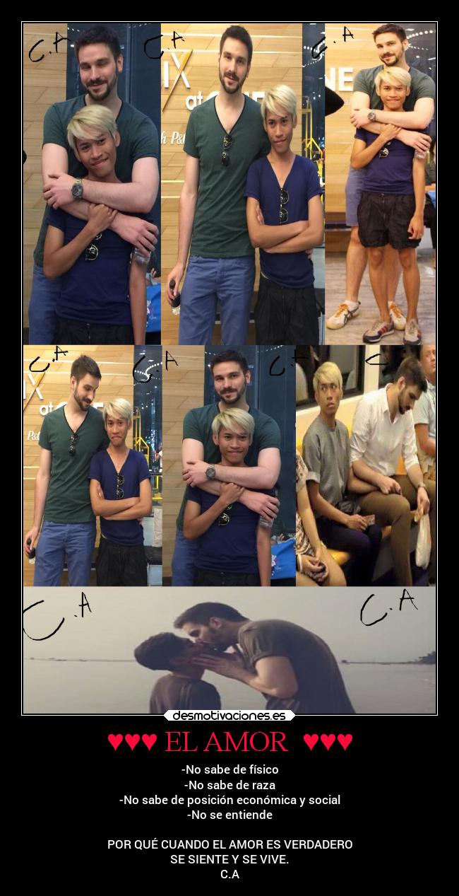 ♥♥♥ EL AMOR ♥♥♥ - -No sabe de físico
-No sabe de raza
-No sabe de posición económica y social
-No se entiende
POR QUÉ CUANDO EL AMOR ES VERDADERO
SE SIENTE Y SE VIVE.
C.A