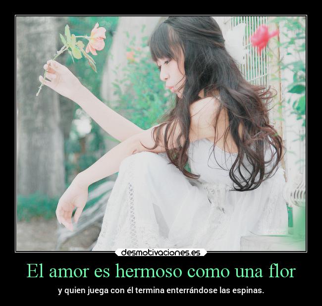 El amor es hermoso como una flor - y quien juega con él termina enterrándose las espinas.