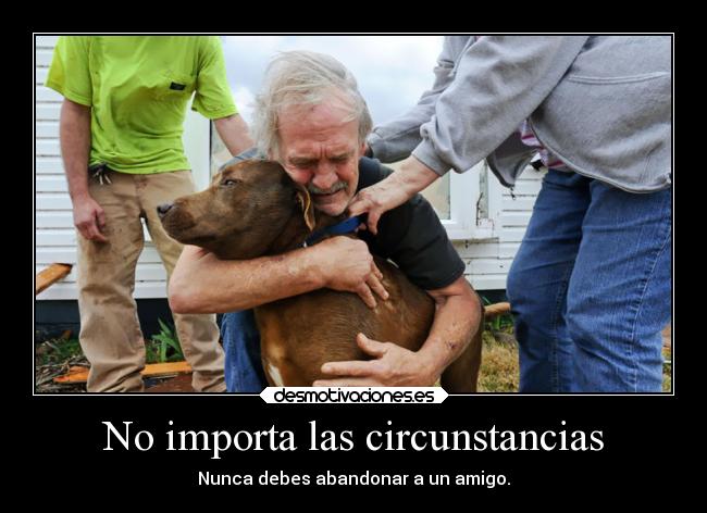 No importa las circunstancias - Nunca debes abandonar a un amigo.