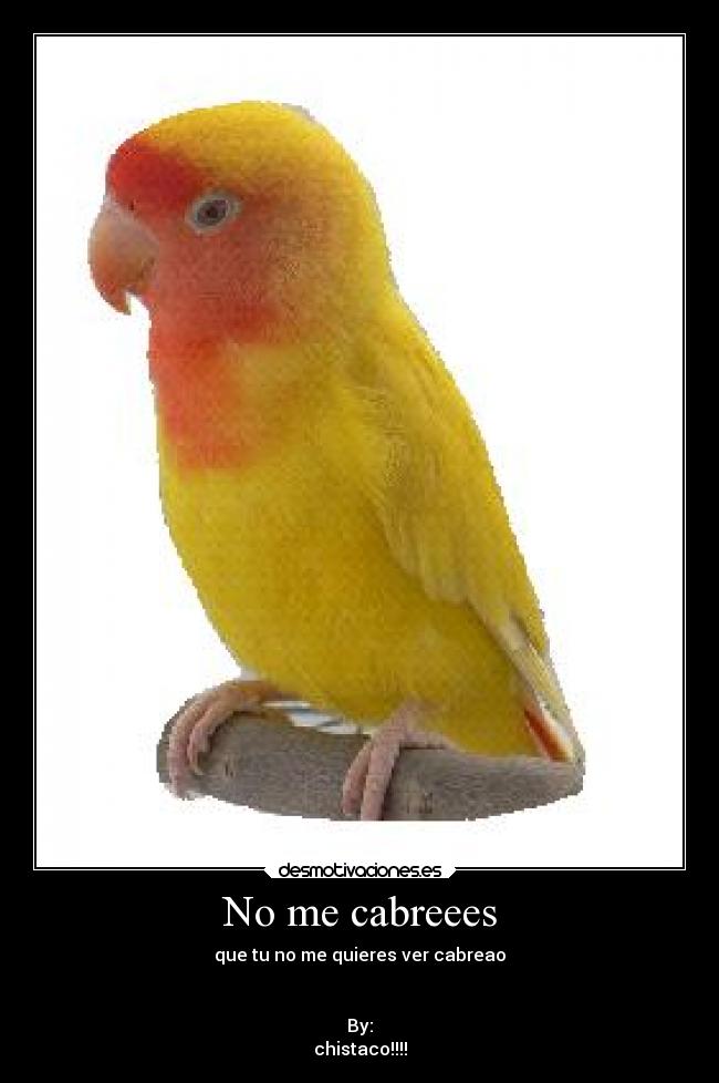 No me cabreees - que tu no me quieres ver cabreao
By:
chistaco!!!!