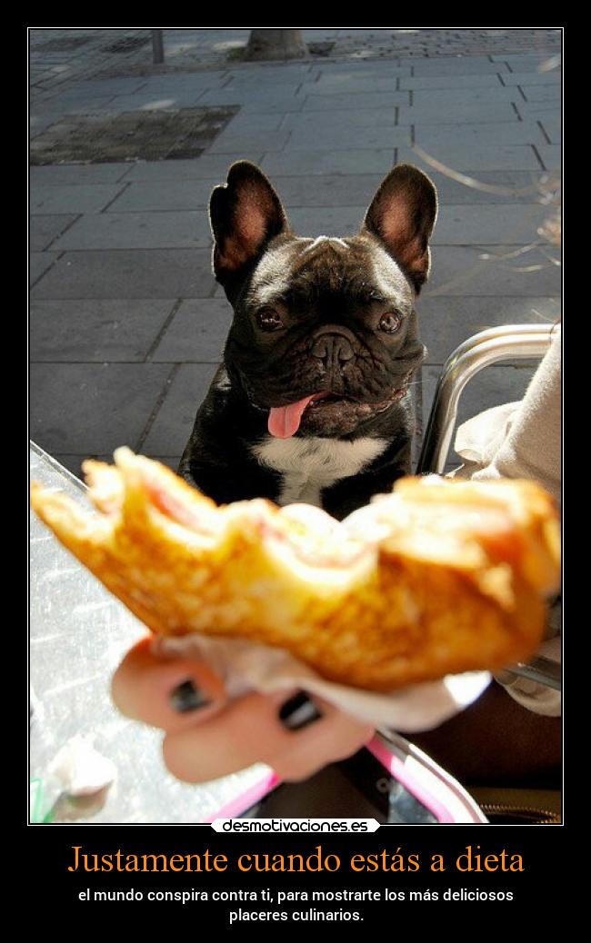 Justamente cuando estás a dieta - 