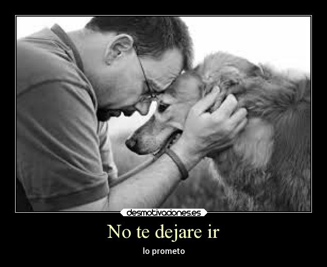 No te dejare ir -
