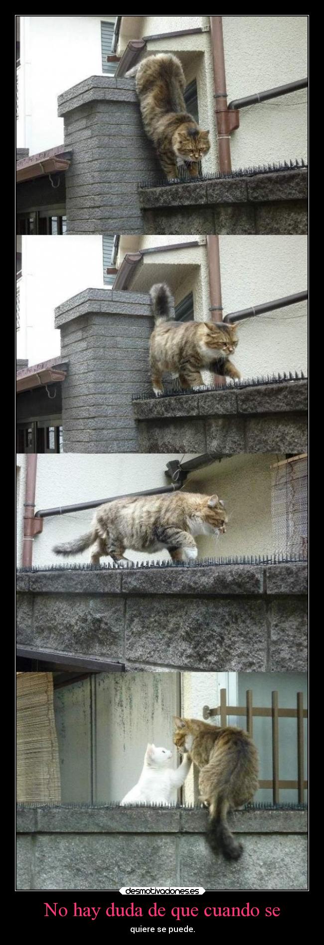 No hay duda de que cuando se - 