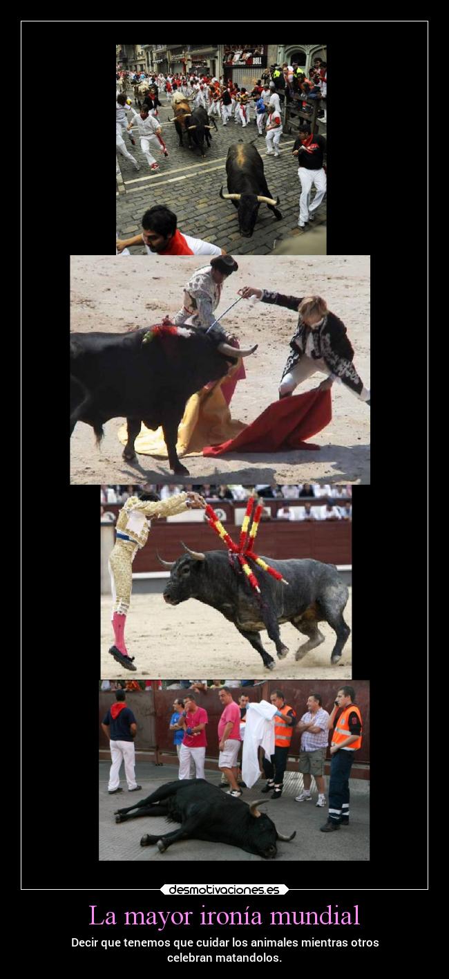 La mayor ironía mundial - Decir que tenemos que cuidar los animales mientras otros
celebran matandolos.