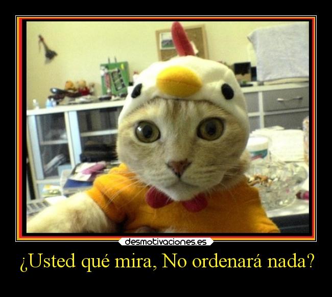 ¿Usted qué mira, No ordenará nada? -