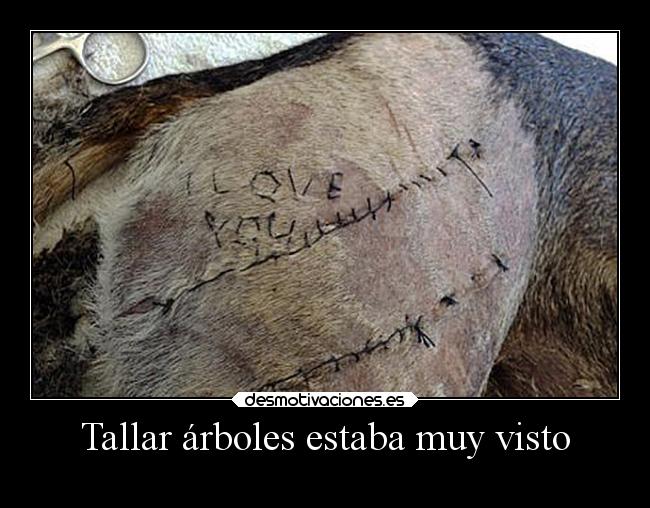 Tallar árboles estaba muy visto - 