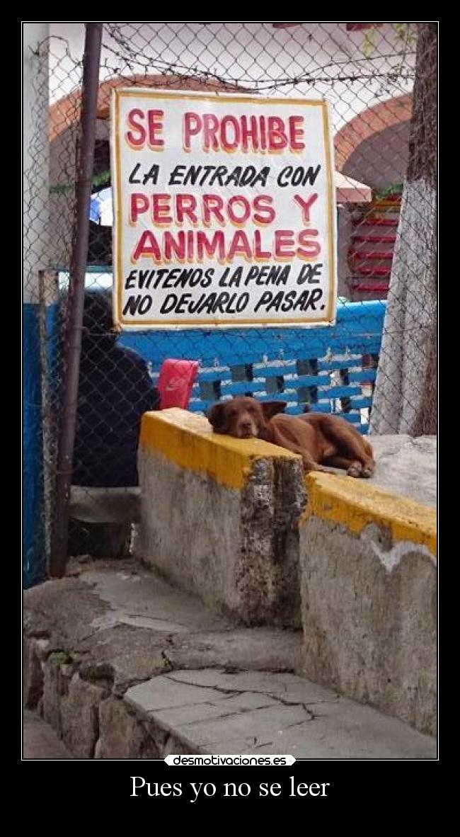 Pues yo no se leer - 