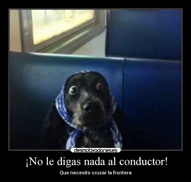 ¡No le digas nada al conductor! - 