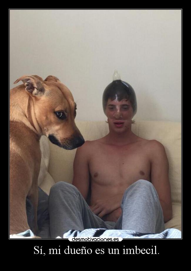 Sí, mi dueño es un imbecil. -