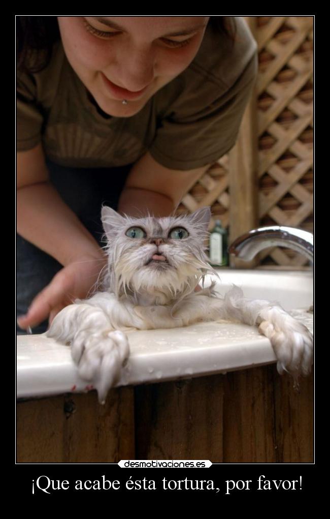 ¡Que acabe ésta tortura, por favor! -