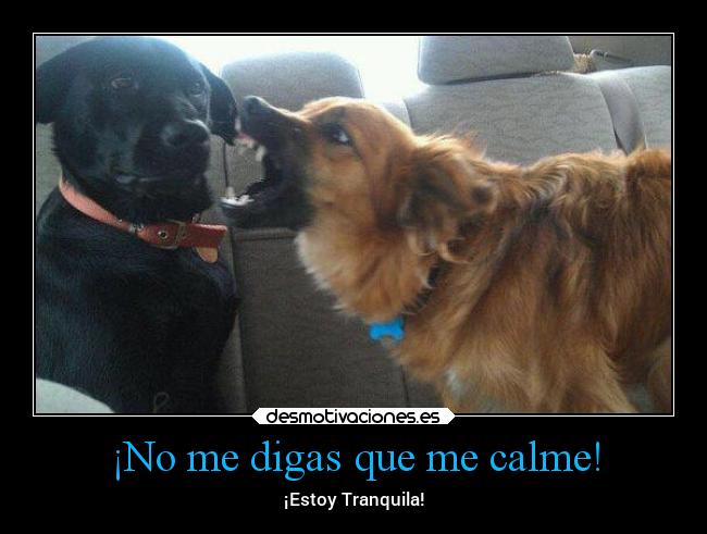 ¡No me digas que me calme! - 
