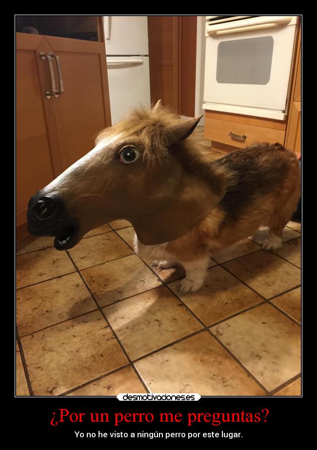 carteles animales risa graciosas tonto humor tonteriasde soyunidiotatm projectd desmotivaciones