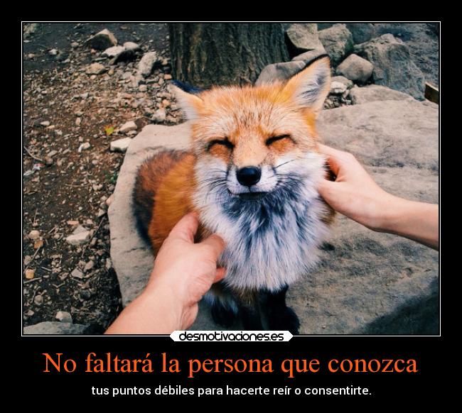 carteles anime desmotivaciones