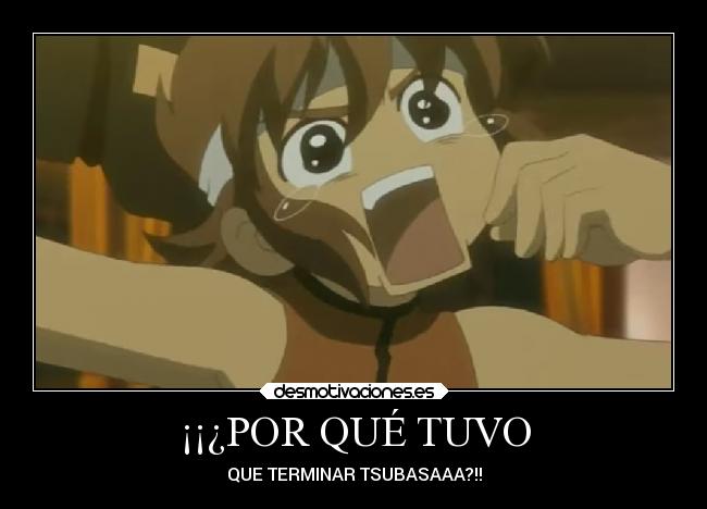 ¡¡¿POR QUÉ TUVO - QUE TERMINAR TSUBASAAA?!!