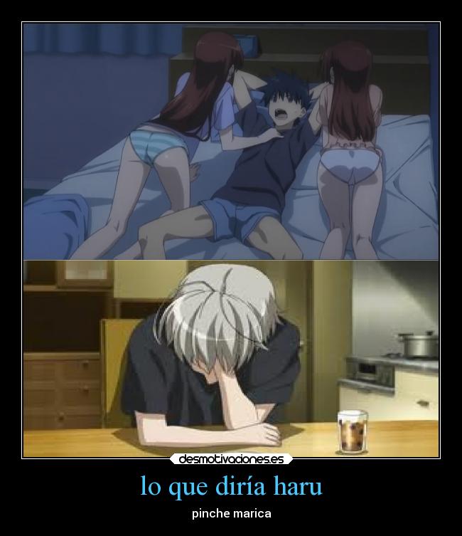 lo que diría haru -