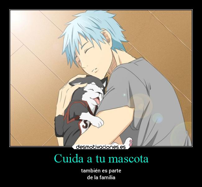 Cuida a tu mascota -