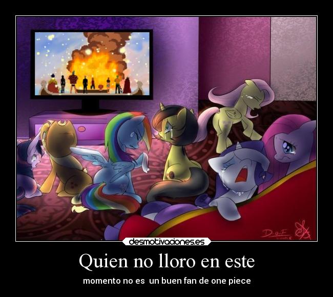 Quien no lloro en este - momento no es un buen fan de one piece