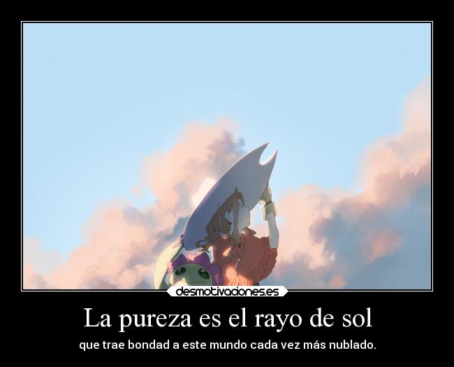 La pureza es el rayo de sol - 