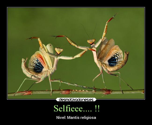 carteles arte desmotivaciones