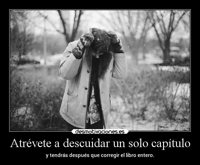 Atrévete a descuidar un solo capítulo - y tendrás después que corregir el libro entero.