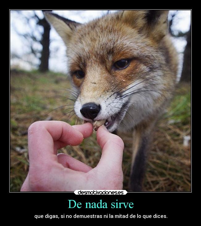De nada sirve -