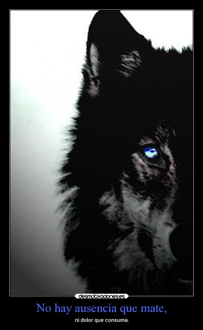 No hay ausencia que mate, -