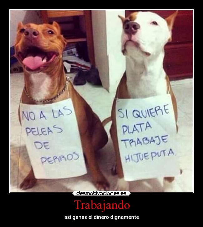 carteles ayuda criticas desmotivaciones