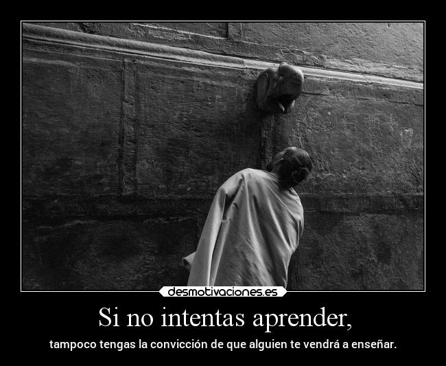 carteles ayuda elmiedodaalasaloshombres apagamisllamascongasolina gelidavenganza desmotivaciones