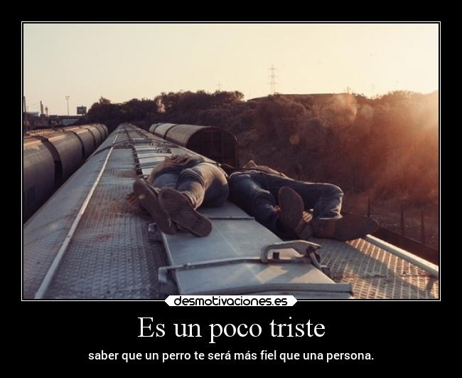 carteles caracter clanpoetasmuertos desmotivaciones