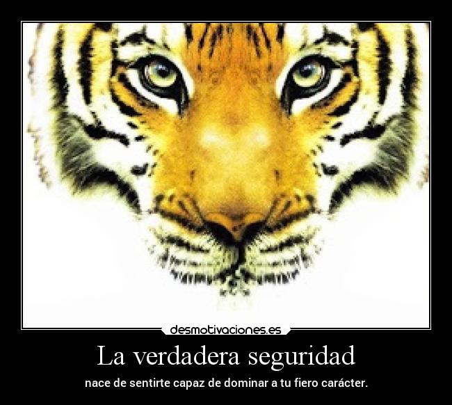 La verdadera seguridad -