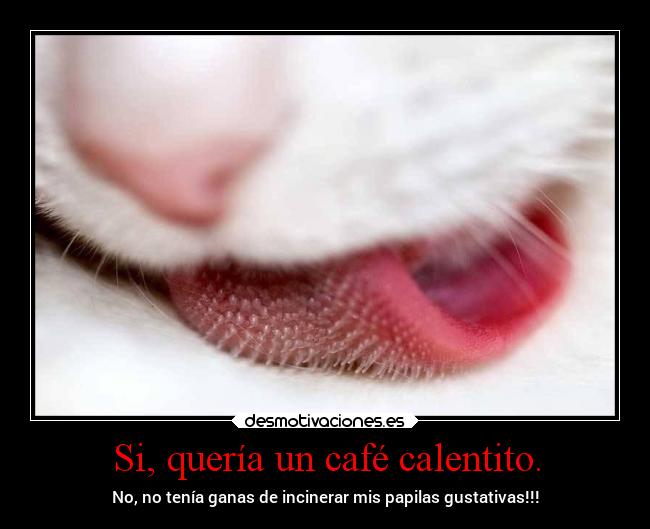 carteles chiste cafe calentito lengua incinerar papilas gustativas luzkira desmotivaciones